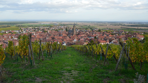 Recherche de fuite d'eau Lingolsheim